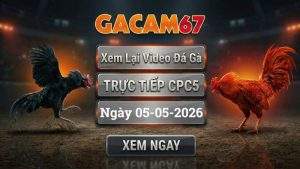 Xem Lại Video Đá Gà CPC5 Ngày 05/05/2026