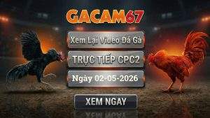 Xem Lại Video Đá Gà CPC2 Ngày 02/05/2026