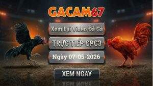 Xem Lại Video Đá Gà CPC3 Ngày 07/05/2026