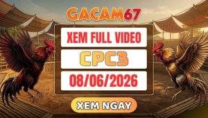 Xem Lại Video Đá Gà CPC3 Ngày 08/06/2026