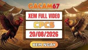 Xem Lại Video Đá Gà CPC5 Ngày 20/08/2026 Tại GACAM67