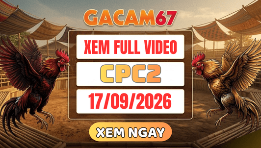 Xem Lại Video Đá Gà CPC2 Ngày 17/09/2026 Trên GACAM67