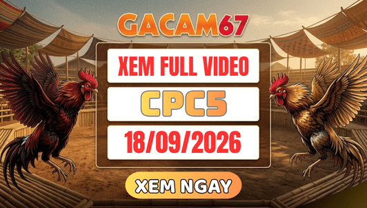 Xem Lại Video Đá Gà CPC5 Ngày 18/09/2026 Trên GACAM67